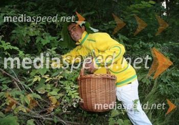 Fredi Miler pri nabiranju gozdnih malin